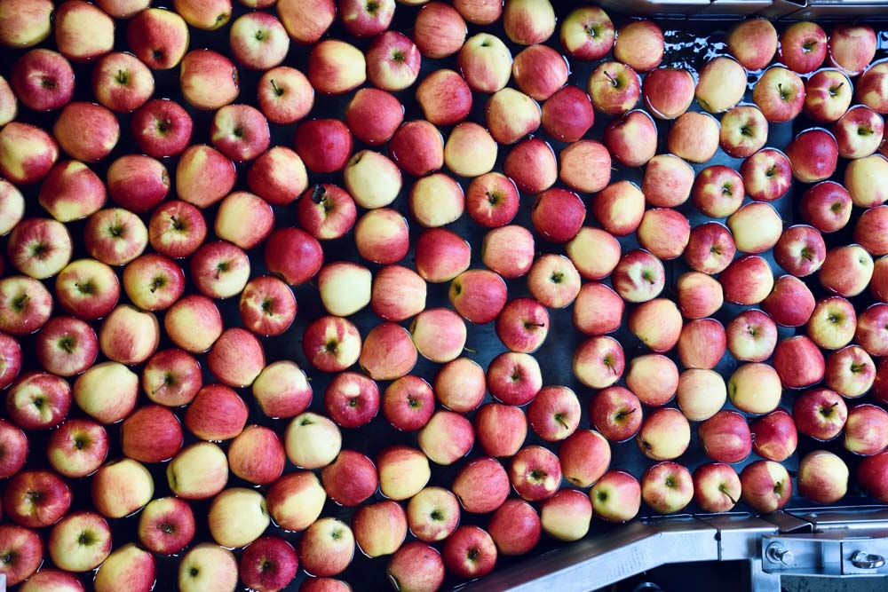 Tray filled with red and yellow apples