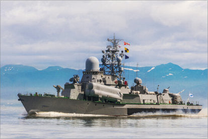 Military Sector
