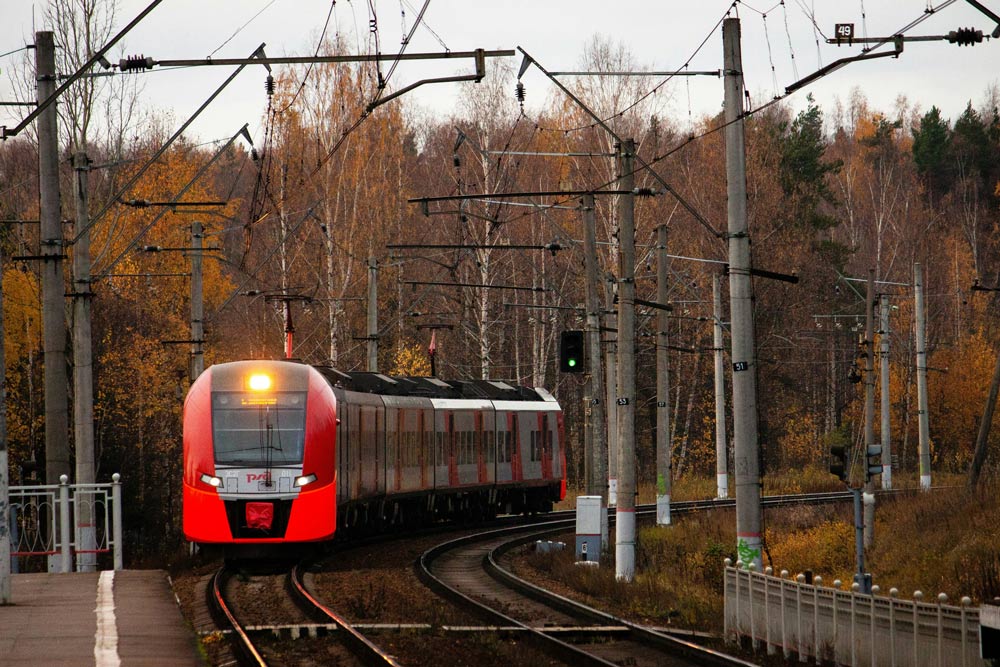 Red and gray train on tracks with autumn trees in the background