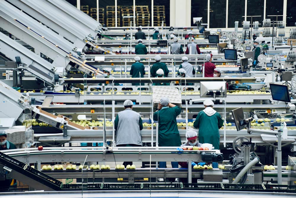 Factory workers operating machinery and sorting products on an assembly line.
